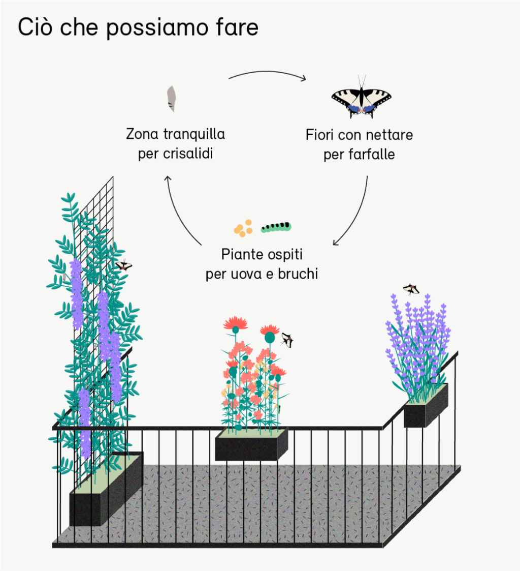 Ciò che possiamo fare