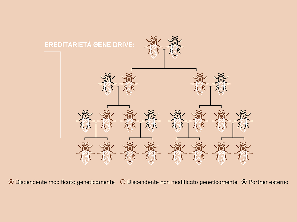 artikel-1-i-gene-drive