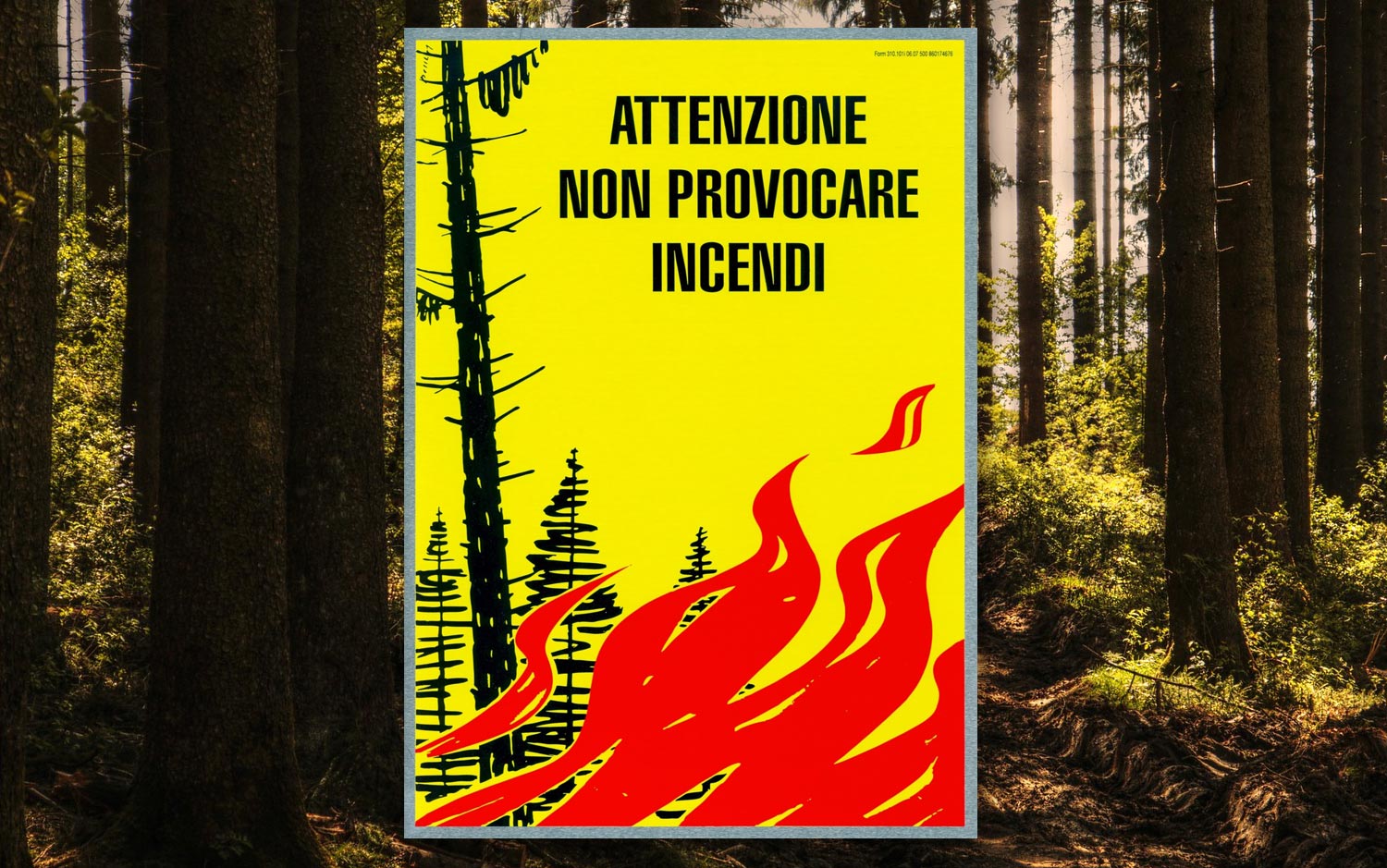 Brennpunkt Waldbrand-Plakat I