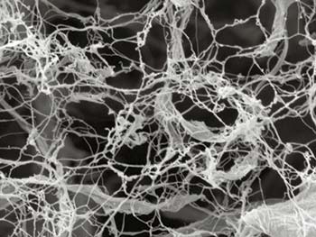 Nanofibrillierter Zellulose 