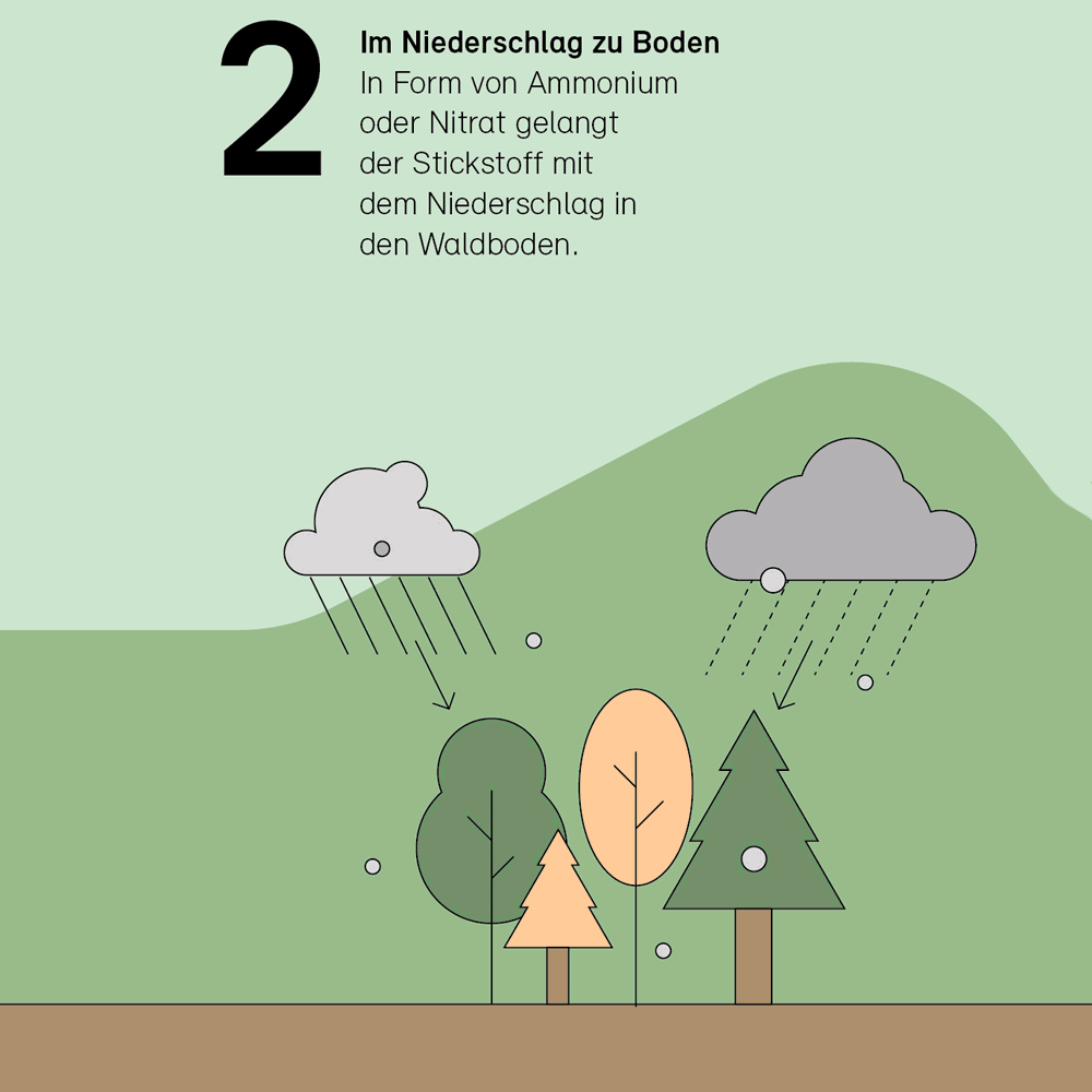 2. Im Niederschlag zu Boden