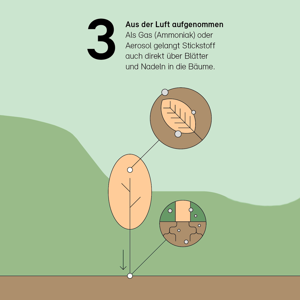 3. Aus der Luft aufgenommen