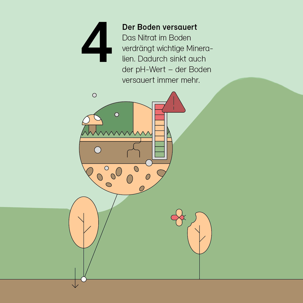 4. Der Boden versauert