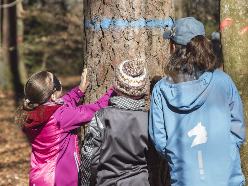 Kinder entdecken den Wald