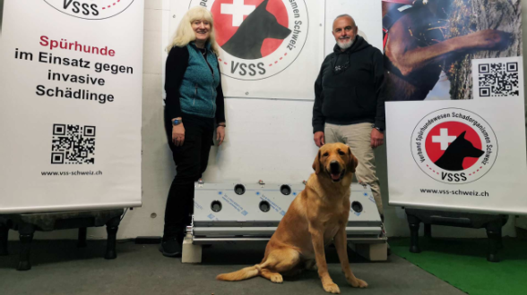 DDTS_BAFU-Newsletter-Wald-2-2025_Bild-ZVG