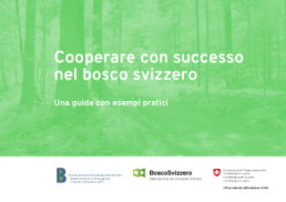 Cover Cooperazione nell’economia forestale svizzera