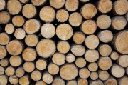 Holzstapel