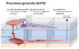 Procedura generale dell'indagine dettagliata